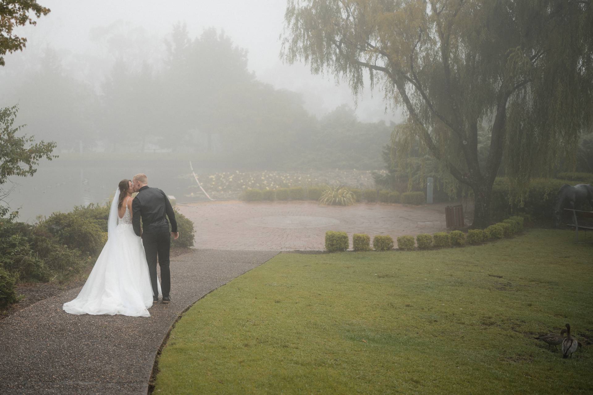 Newly married standing on a cliff with views of a valley - photographer and wedding videographer Blue Mountains - Lovereel